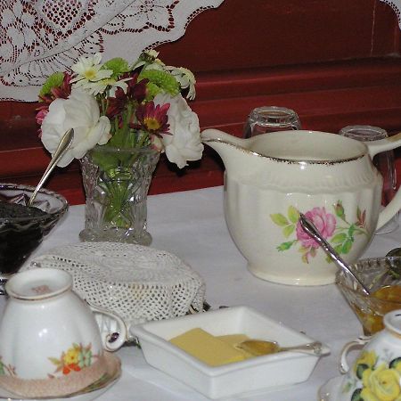 Albatross Inn Bed&Breakfast Dunedin Exterior foto